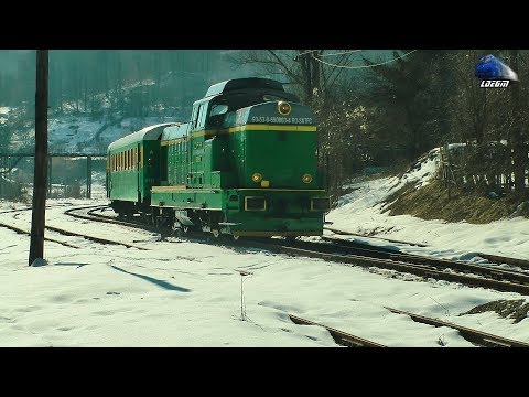 LDE1250 69-0003-4 & R9694 Anina-Oravița in Gara Anina Station - 16 February 2019