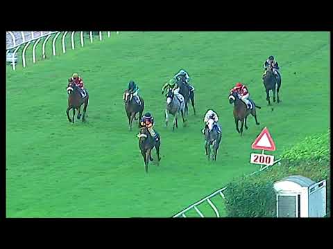 Napoli Galoppo 22/11/2021 - 5ª corsa