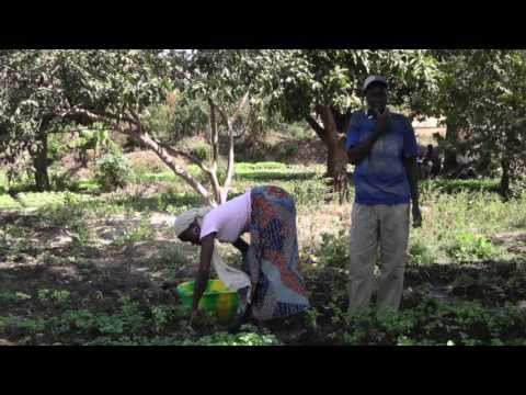 Help 30 Hungry Villages in Gao-Mali Grow Food NOW!