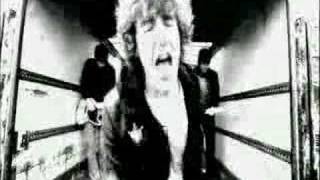 Pigeons Detectives- I'm Not Sorry