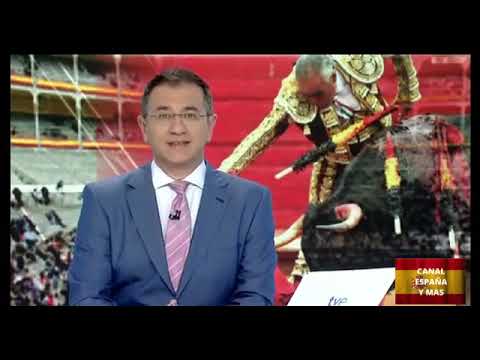 El Pana que recibio mas de 20 cornadas/Le Pana  encorné plus de 20 fois/received more 20 gorings