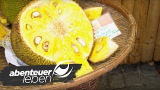 Von der Granadilla bis zur Jackfruit: Deutschlands beliebteste Exoten | Abenteuer Leben | kabel eins