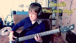 Camille - Cats and dogs (Bass cover)