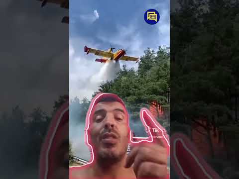 دابا هادا أش كياكل من غير الاكل العادي 🚀 #اكسبلور #كأس_العالم #المغرب#الجزائر #viral #football
