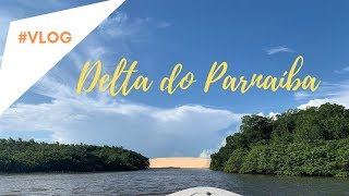 Passarinhando no DELTA DO PARNAÍBA- Revoada dos Guarás