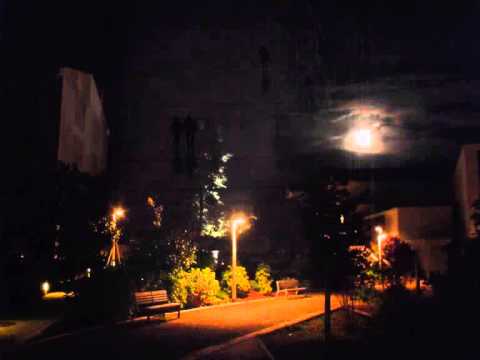 Barbara Bonney: Seven Early Songs by Alban Berg