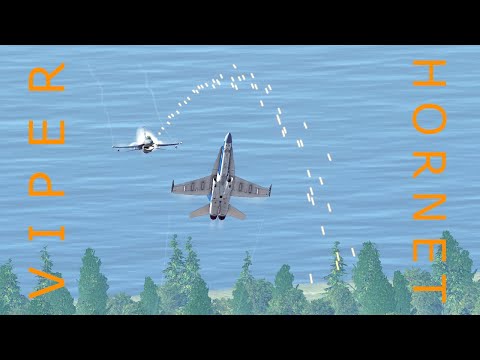 F-16 vs F-18 BFM Dogfight [DCS]