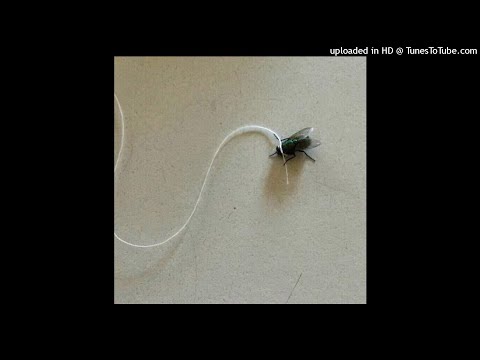 [FREE] ZDECHLY OSA x 666MAFIA UNDERGROUND MEMPHIS PSYCHO RAP TYPE BEAT "FLY" (prod. Arizona Beats)