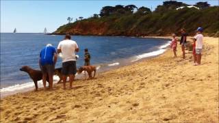 Images of Australia 2016