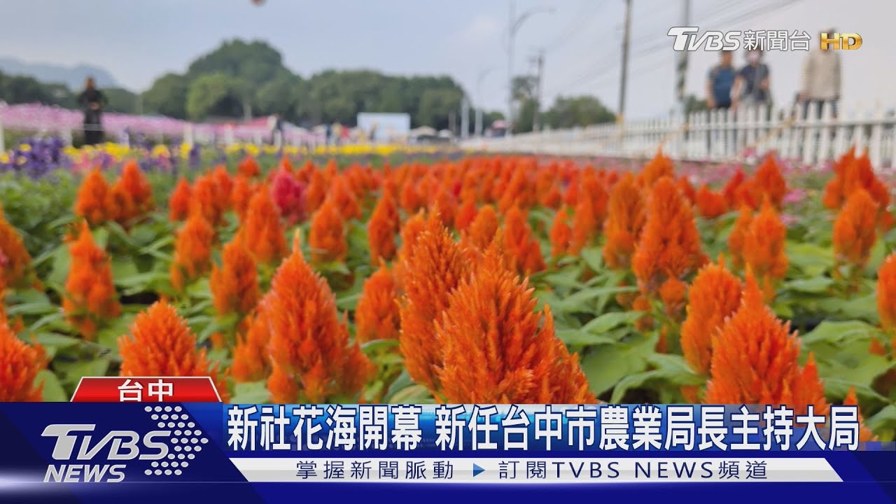 新社花海開幕　新任台中市農業局長主持大局