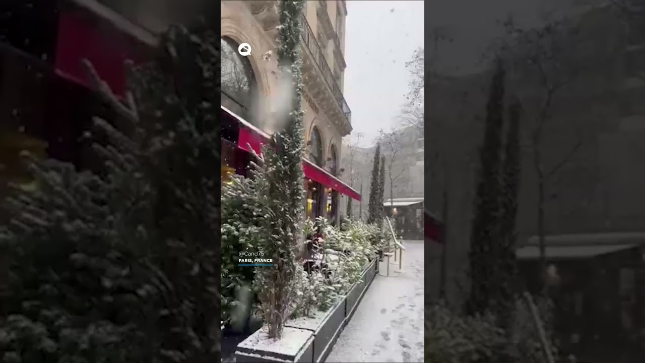 youtube video id=a5f2mIuRHg8