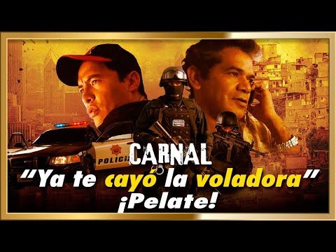 Carnal, ya te cayó "LA VOLADORA"  Pelicula de accion completa en Español Latino