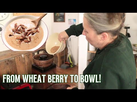 How to Make Cream of Wheat with Fresh Milled Flour (So Easy!)