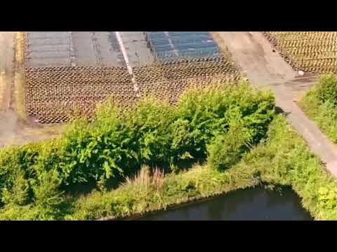 Aufnahme vom 31.5.2020