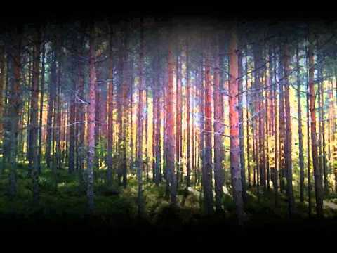 Somnam - Whispering Trees