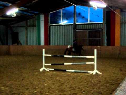 Fuchsi Springen 18.2.2012