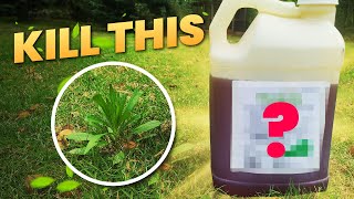 2 Products to Dominate Weeds Cheap - Keep it Simple