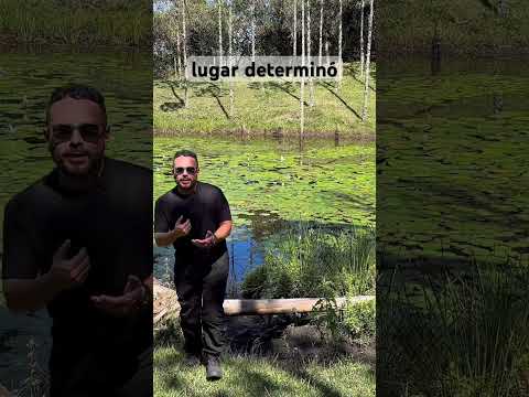 Fredonia en pareja 💚 Un rincón escondido para enamorarse en Antioquia. #Juanteguia