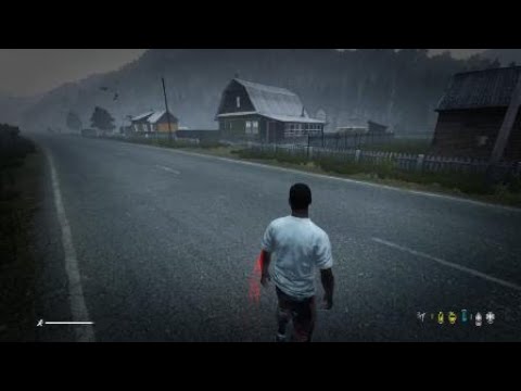 DayZ NO FALL DAMAGE 2022 PC/PS4/XBOX NO BROKEN LEG WORKING read desc