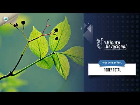 Presente Diário | Poder total  |  19/09/2023  (Minuto.Devocional)