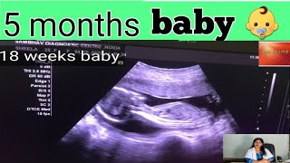 Baby development in 5th month of pregnancy / Drhome