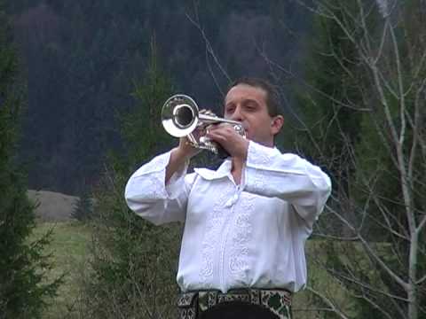 Dinu Croitor Sarba de la Vlasinesti