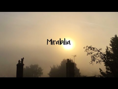 Mirabilia - Whalebone