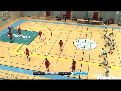 WU14 al.1.div. Feeniks Basket - BC nokia