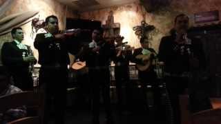 Mariachi Los Toros - Vamonos