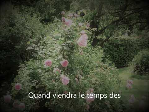 Cent Mille Chansons - piano (playback) and lyrics (text)