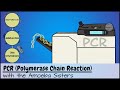 PCR (Polymerase Chain Reaction)