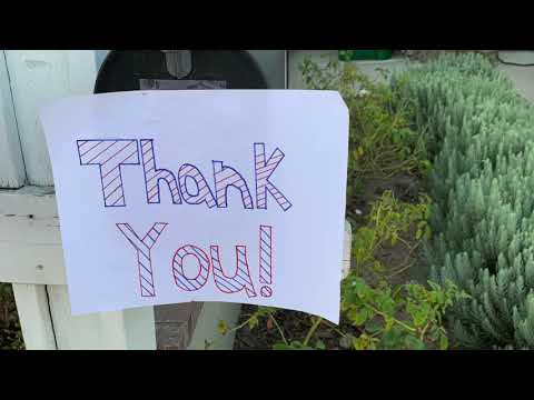 NHS Symphonic Orchestra Winter Showcase