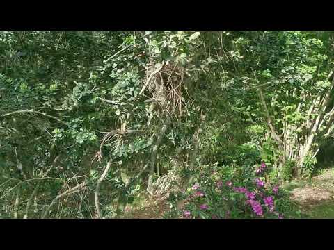 Video de YouTube - Terreno en venta camino Lusich Maldonado