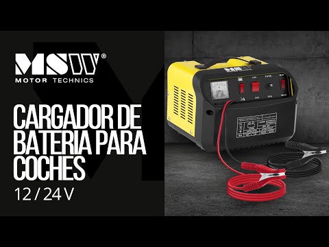 vídeo - Cargador de batería de coche - arranque instantáneo - 12/24 V - 20/30 A - panel de control inclinado