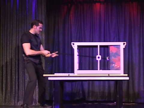 stephane vanel magic of paris