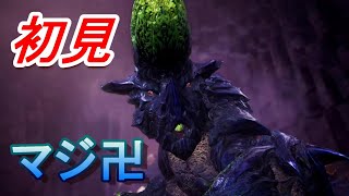 初見ブラキディオスとガチンコバトル【モンスターハンターワールドアイスボーン新天地で狩猟生活】