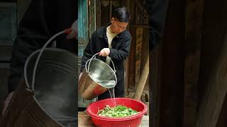 Những loại rau dại tươi ngon và thơm phức | These wild vegetables are fresh, delicious, and fragrant 