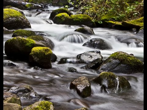 Go with the flow  Giovanni Allevi   Elena Tourbina-piano