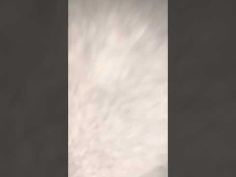 @zoy.brian - Rompiendo Con #FREEMOOD 🔥🔥👁