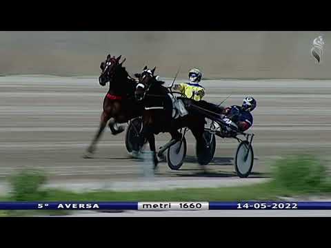 Aversa trotto 14 Maggio 2022 - 5° Corsa