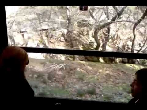 Riding the cog railway (odontwtos) Jan 2010