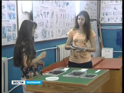 Вести «Калмыкия»: дневной выпуск 15.07.2014