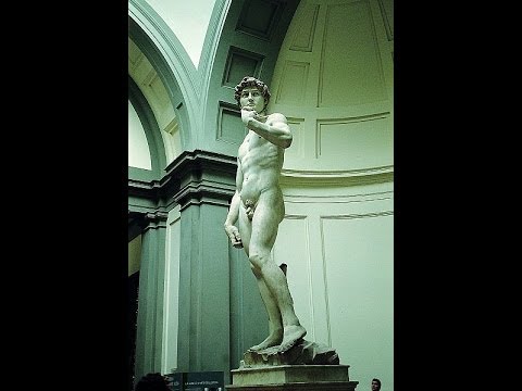 LOS MEDICI . LOS MAGNIFICOS MEDICI. CAP 2