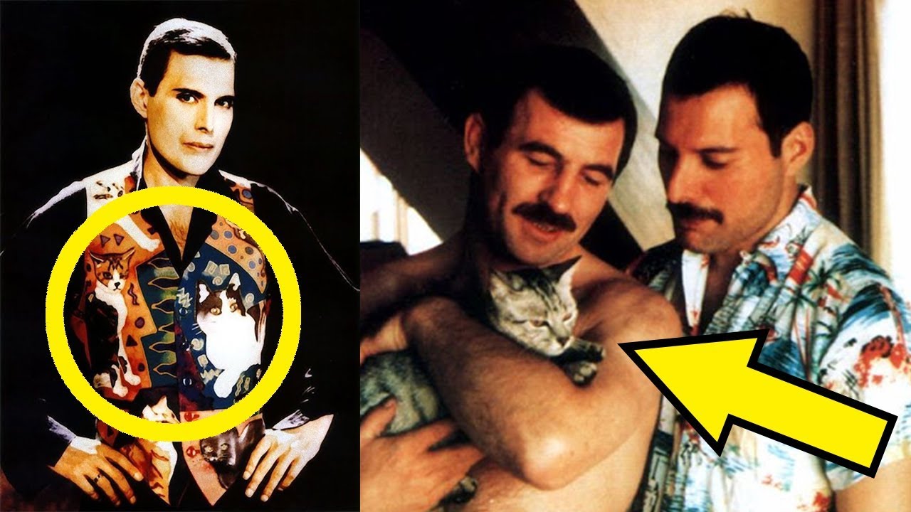 【衝撃】フレディ・マーキュリーが大好きな猫