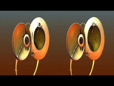 Spiders (3D, stereoscopic, SBS, HD, fractal, experimental Version)