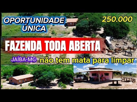 FAZENDA A VENDA EM JAÍBA-MG. Apenas 250.000. 21 hectare 