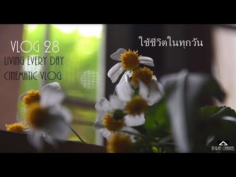#Cinematic Vlog Music Ep.28 : Living Every day : ภาพยนตร์ เรื่องราว เพลง Ep.28 : ใช้ชีวิตในทุกวัน .
