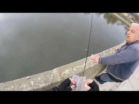 Ustadan miryana ve karayatık farkı... fishing Edirne