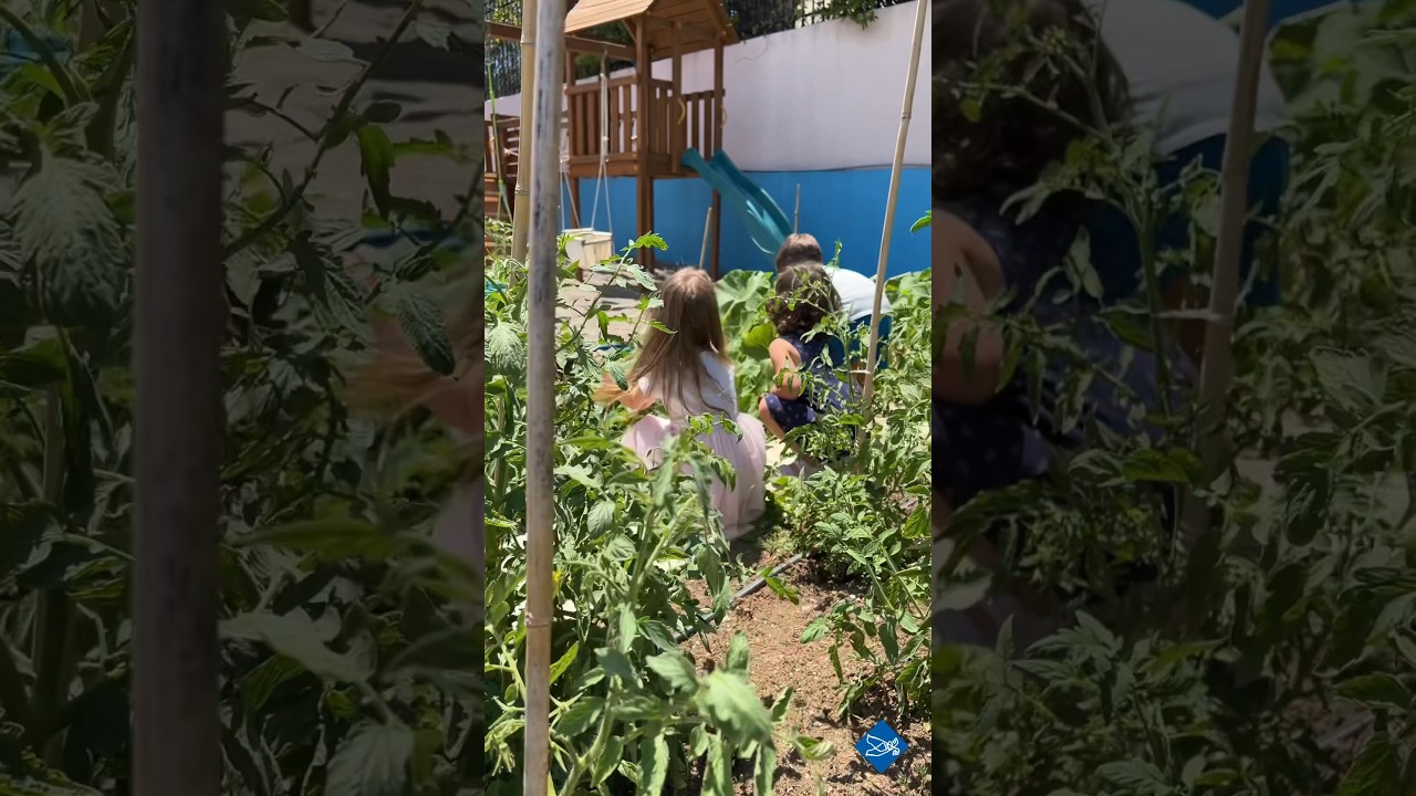 🎃Οι κολοκύθες μας!