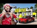 EL ALFA S New Millionaire Life In 2025